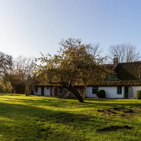 - Haeuser 2-2d Tatil Evi